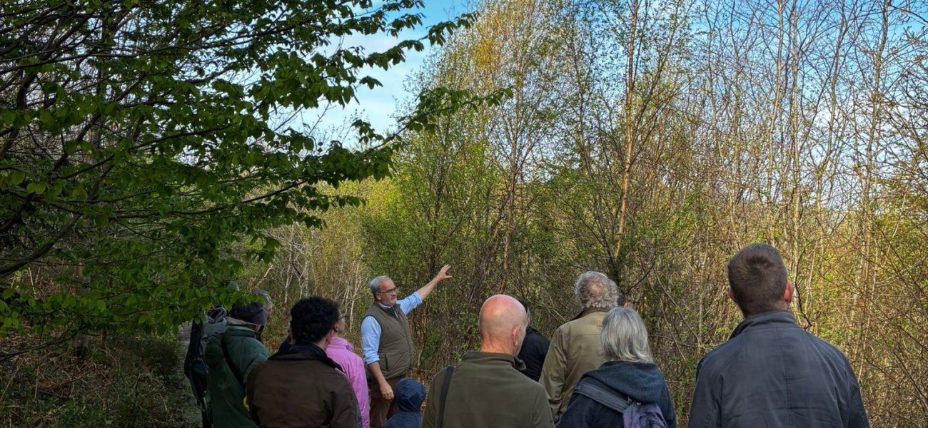 Autumn Woodland Walk with Geraint Richards