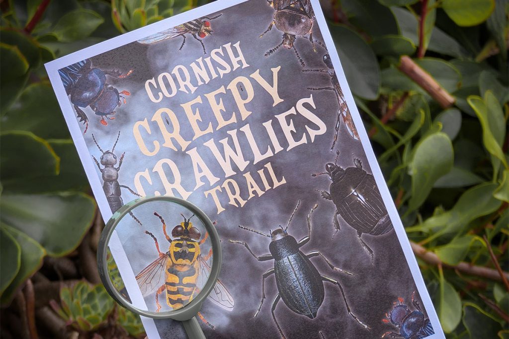 Cornish Creepy Crawlies Trail