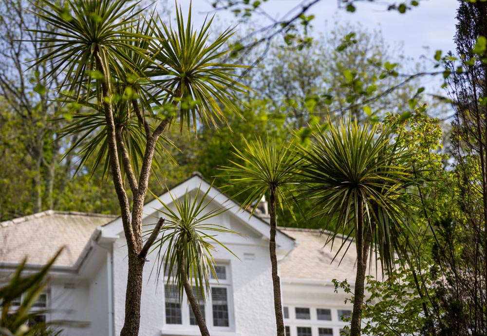 The Conscious Home: Design With Intention