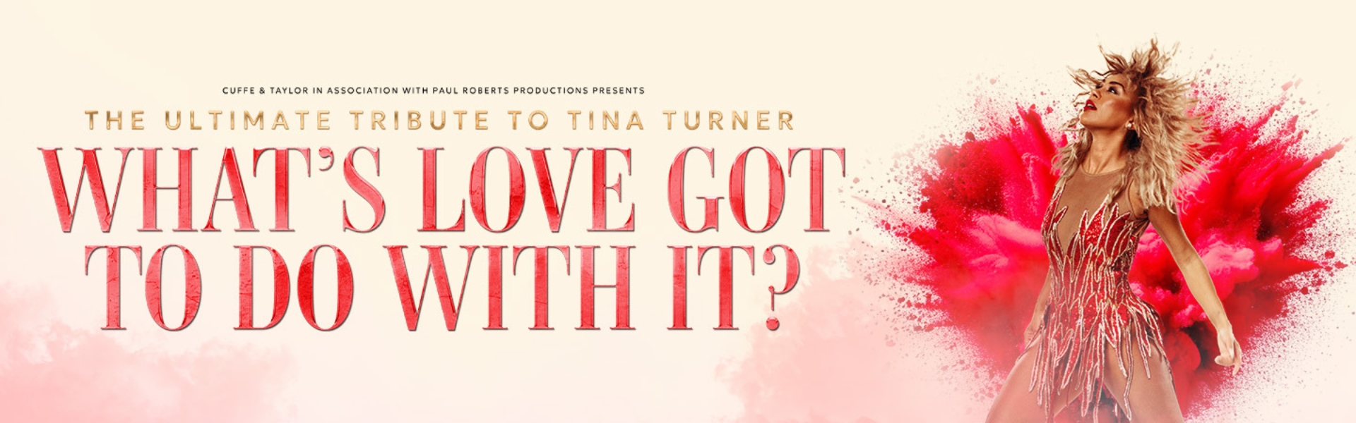 What’s Love Got To Do With It? – A Tribute to Tina Turner